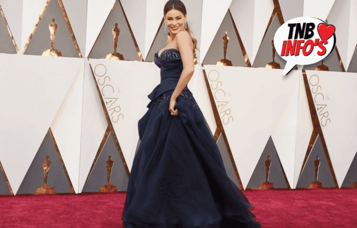 Sofia Vergara Red Carpet Infographics Attires Will Literally Take Your heart Away!!