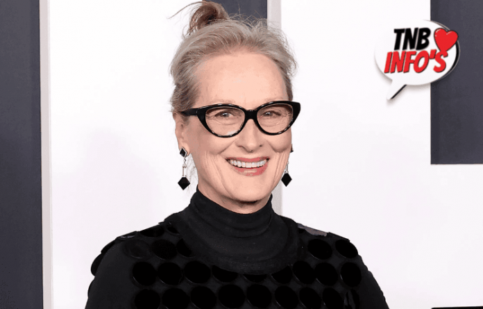 10 Amazing Facts About Meryl Streep Infographics That Will Astound You!!