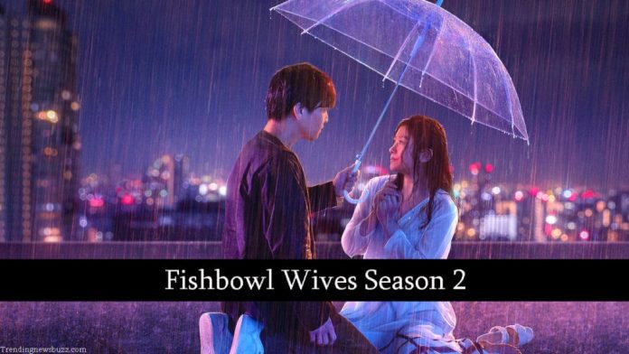 Fishbowl Wives Season 2: Expected Release Date & Spoilers