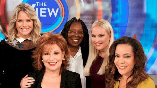 the view season 25 episode 120