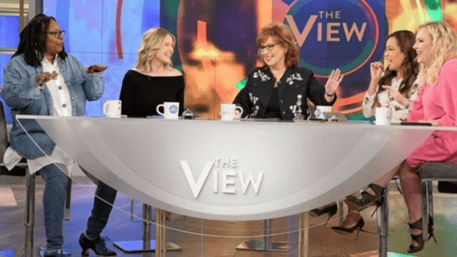 the view season 25 episode 120