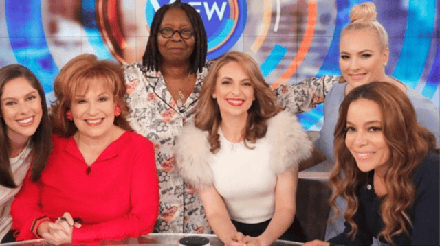 the view season 25 episode 120