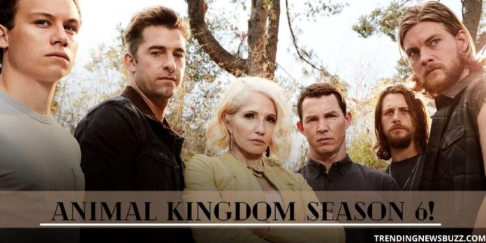Animal Kingdom Season 6 Updates And Everything We Know!