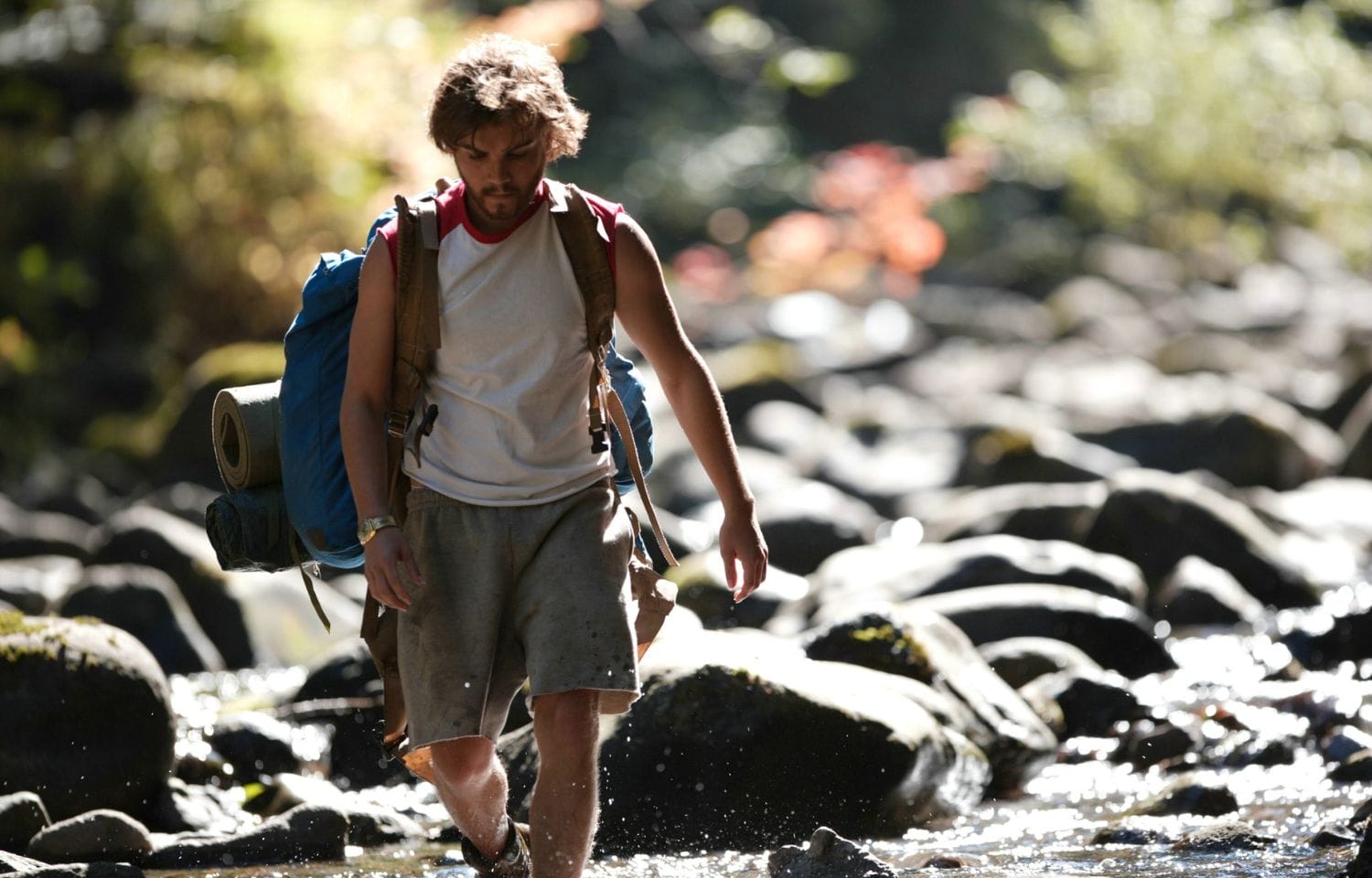 into the wild cast
