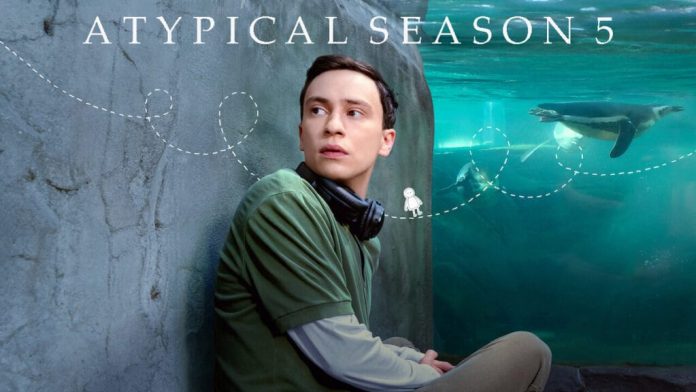 Will There Be Atypical Season 5?