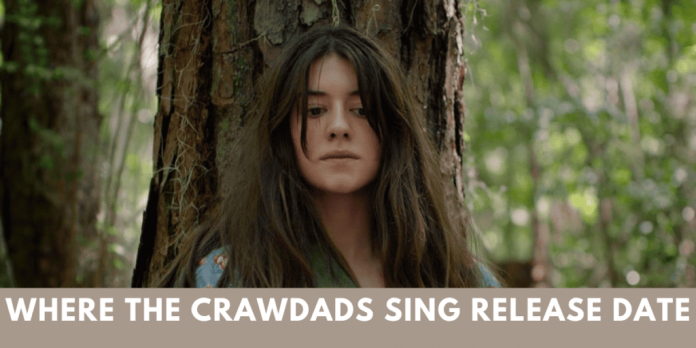 Where The Crawdads Sing Release Date: Premiere Date, Cast, Teaser And Many More!