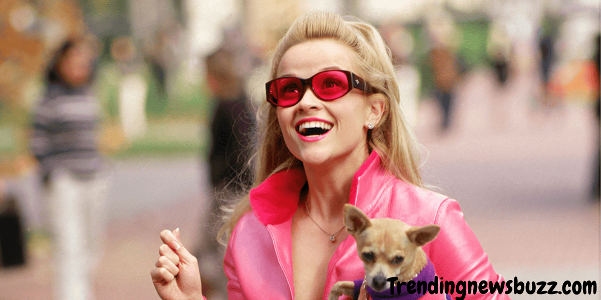 Legally Blonde 3