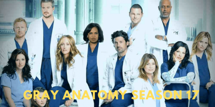 Grey Anatomy Season 17: Review And Watch!