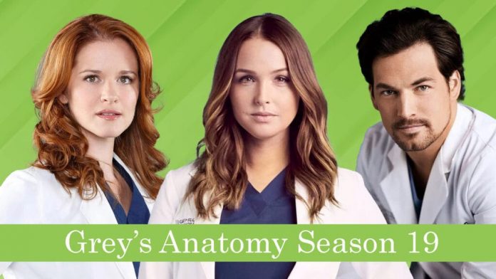 ABC’s Grey’s Anatomy Season 19 Is Finally Happening [Latest Updates]