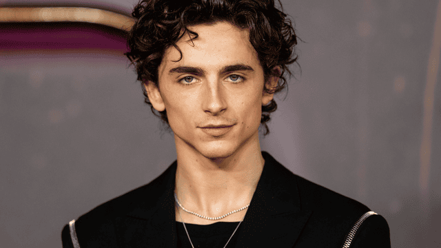 timothée chalamet movies