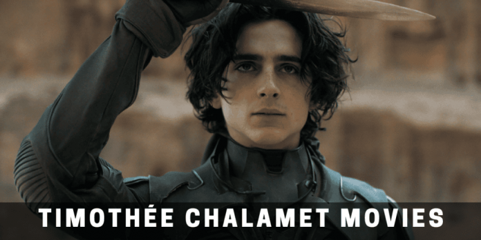 Timothée Chalamet Movies : Facts That You Didn’t Know about His Movies!