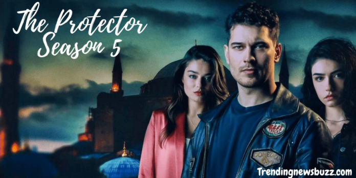 The Protector Season 5: Renewed or Cancelled?