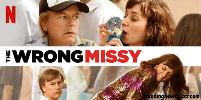 The Wrong Missy: Romantic And Funny Movie to Watch On Netflix!