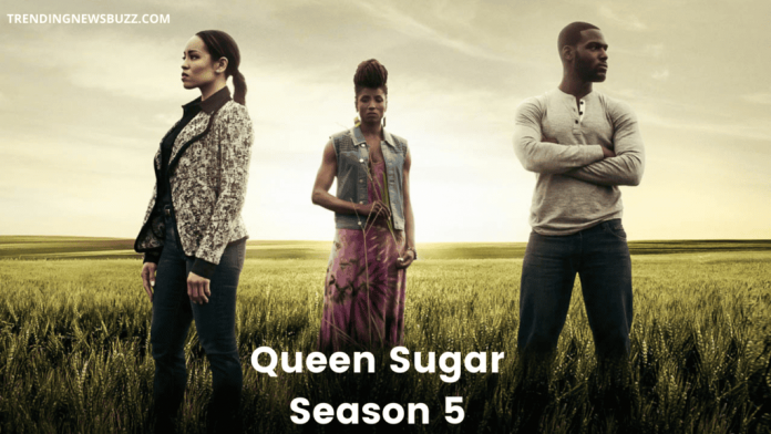 Queen Sugar Season 5 Release Date, Plot and Cast