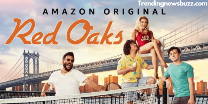 Red Oaks Season 4: Will the Season 4 Return or Cancelled!