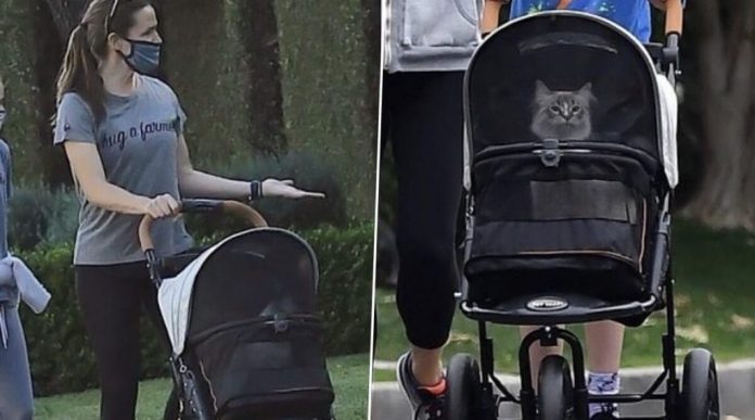 Jennifer Garner-The Cat Stroller