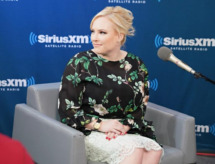 Meghan McCain Shares Her Feelings And Happiness On Fourth Of July