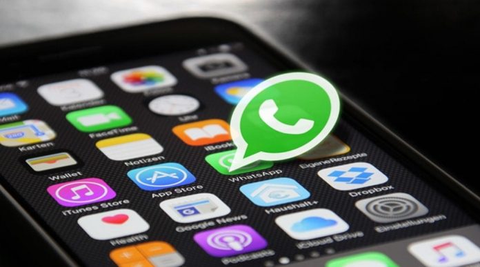 WhatsApp: WhatsApp Sees 70% Drop In Viral Message Forwards After Imposing A Forward Limit