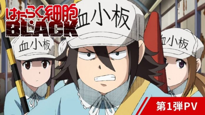 Cells at Work! Code Black: Muse Asia to Stream the Spin-off Series