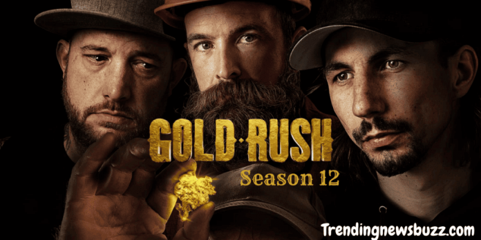 Gold Rush Season 12: Release Date, Trailer, Many More!