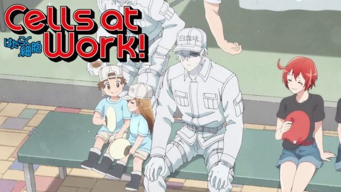 Medical Conditions Expected in Upcoming Cells At Work Season 2