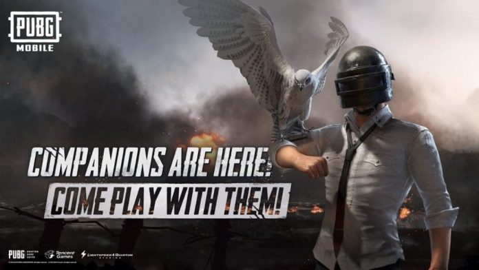 PUBG Mobile The Tournament Streams Online To Avoid Coronavirus