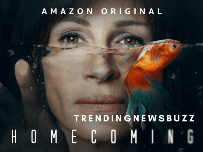 Homecoming Season 3: Renewal, Release Date, And Everything Else